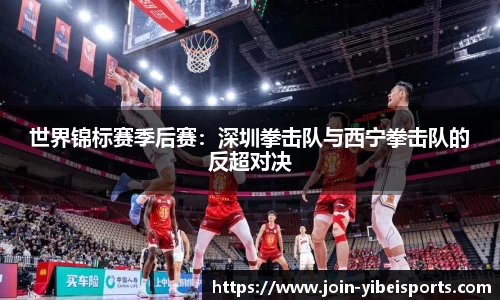 世界锦标赛季后赛：深圳拳击队与西宁拳击队的反超对决