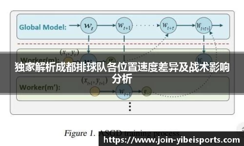 独家解析成都排球队各位置速度差异及战术影响分析
